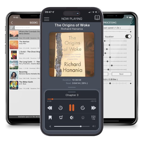 Download fo free audiobook The Origins of Woke by Richard Hanania and listen anywhere on your iOS devices in the ListenBook app.