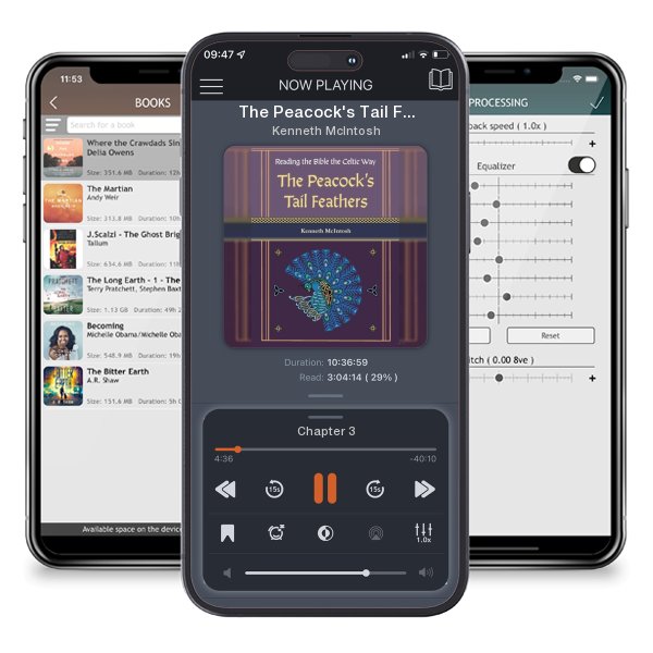 Download fo free audiobook The Peacock's Tail Feathers (Reading the Bible the Celtic Way) by Kenneth McIntosh and listen anywhere on your iOS devices in the ListenBook app.
