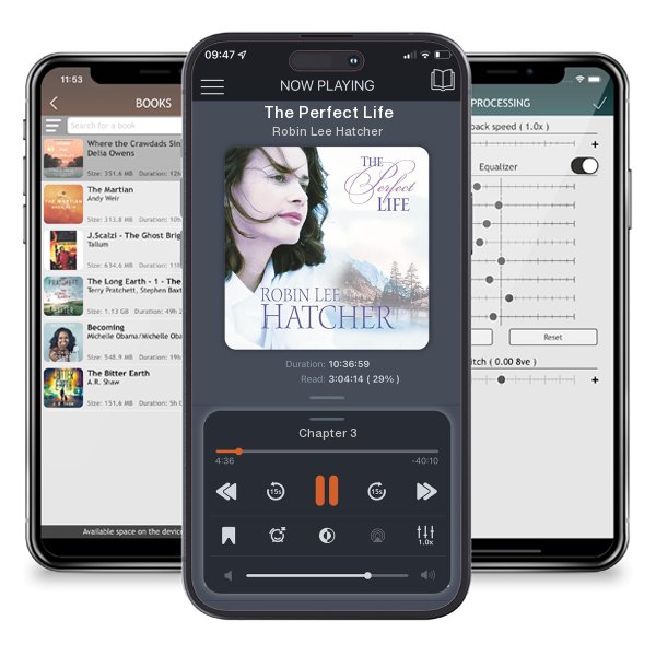 Download fo free audiobook The Perfect Life by Robin Lee Hatcher and listen anywhere on your iOS devices in the ListenBook app.