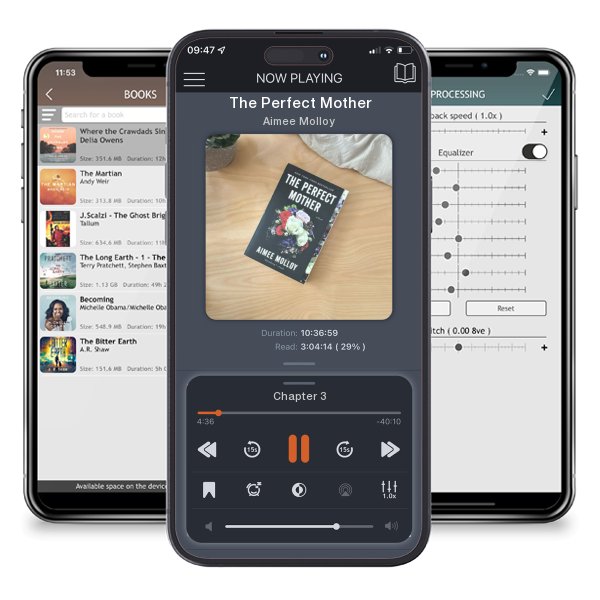 Download fo free audiobook The Perfect Mother by Aimee Molloy and listen anywhere on your iOS devices in the ListenBook app.