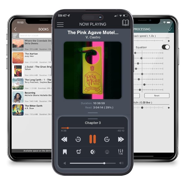 Download fo free audiobook The Pink Agave Motel: & Other Stories by V. Castro and listen anywhere on your iOS devices in the ListenBook app.