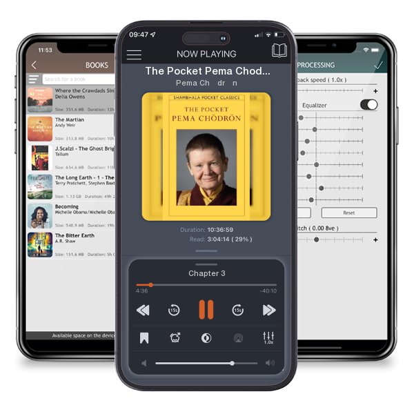 Download fo free audiobook The Pocket Pema Chodron by Pema Chödrön and listen anywhere on your iOS devices in the ListenBook app.