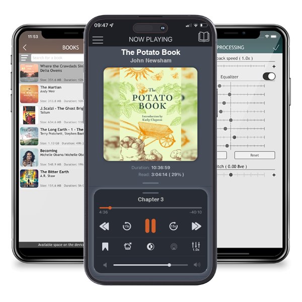 Download fo free audiobook The Potato Book by John Newsham and listen anywhere on your iOS devices in the ListenBook app.