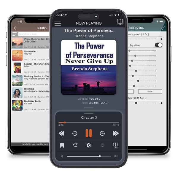 Download fo free audiobook The Power of Perseverance by Brenda Stephens and listen anywhere on your iOS devices in the ListenBook app.