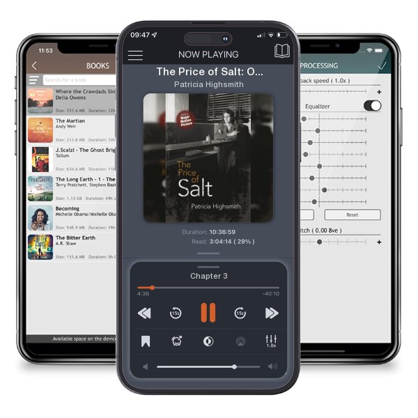 Download fo free audiobook The Price of Salt: Or Carol by Patricia Highsmith and listen anywhere on your iOS devices in the ListenBook app.