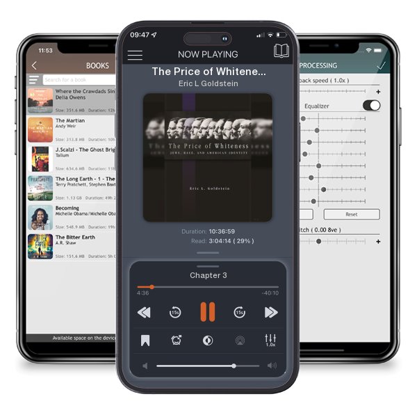 Download fo free audiobook The Price of Whiteness: Jews, Race, and American Identity by Eric L Goldstein and listen anywhere on your iOS devices in the ListenBook app.
