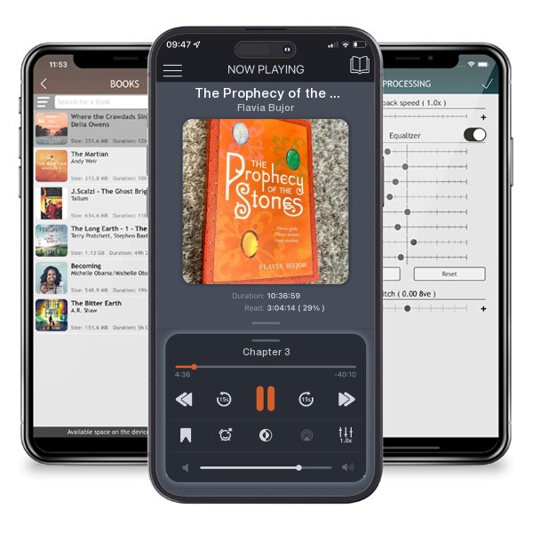 Download fo free audiobook The Prophecy of the Stones by Flavia Bujor and listen anywhere on your iOS devices in the ListenBook app.