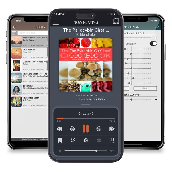 Download fo free audiobook The Psilocybin Chef Cookbook by K. Mandrake and listen anywhere on your iOS devices in the ListenBook app.