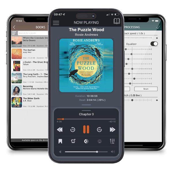 Download fo free audiobook The Puzzle Wood by Rosie Andrews and listen anywhere on your iOS devices in the ListenBook app.