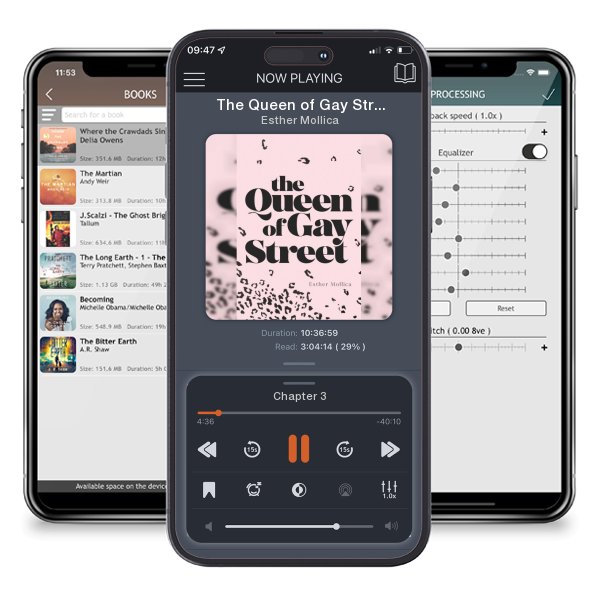 Download fo free audiobook The Queen of Gay Street by Esther Mollica and listen anywhere on your iOS devices in the ListenBook app.
