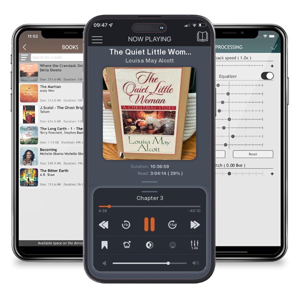 Download fo free audiobook The Quiet Little Woman by Louisa May Alcott and listen anywhere on your iOS devices in the ListenBook app.