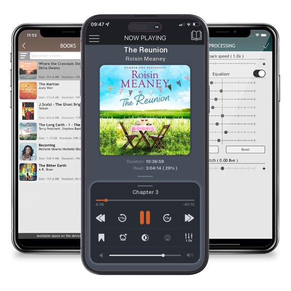 Download fo free audiobook The Reunion by Roisin Meaney and listen anywhere on your iOS devices in the ListenBook app.