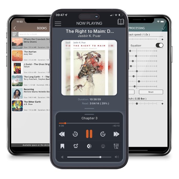 Download fo free audiobook The Right to Maim: Debility, Capacity, Disability by Jasbir K. Puar and listen anywhere on your iOS devices in the ListenBook app.