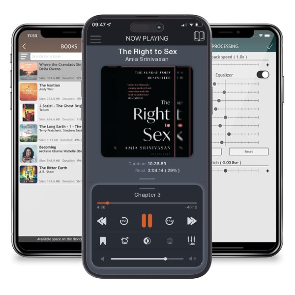 Download fo free audiobook The Right to Sex by Amia Srinivasan and listen anywhere on your iOS devices in the ListenBook app.
