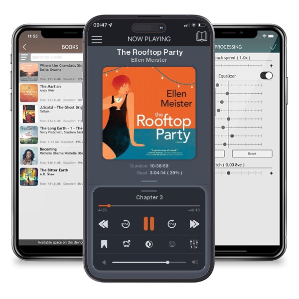 Download fo free audiobook The Rooftop Party by Ellen Meister and listen anywhere on your iOS devices in the ListenBook app.
