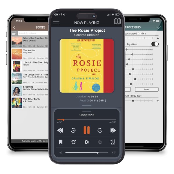 Download fo free audiobook The Rosie Project by Graeme Simsion and listen anywhere on your iOS devices in the ListenBook app.