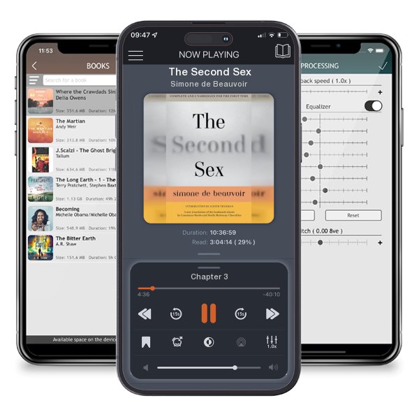 Download fo free audiobook The Second Sex by Simone de Beauvoir and listen anywhere on your iOS devices in the ListenBook app.