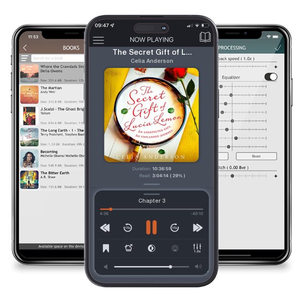 Download fo free audiobook The Secret Gift of Lucia Lemon by Celia Anderson and listen anywhere on your iOS devices in the ListenBook app.