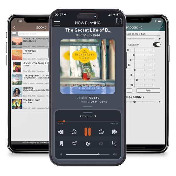 Download fo free audiobook The Secret Life of Bees (Revised) by Sue Monk Kidd and listen anywhere on your iOS devices in the ListenBook app.