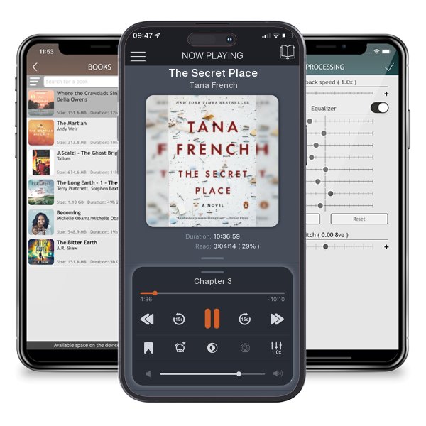Download fo free audiobook The Secret Place by Tana French and listen anywhere on your iOS devices in the ListenBook app.