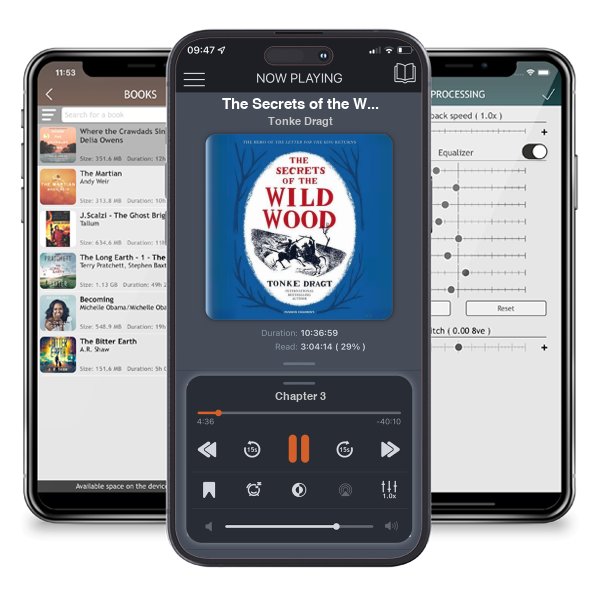 Download fo free audiobook The Secrets of the Wild Wood by Tonke Dragt and listen anywhere on your iOS devices in the ListenBook app.