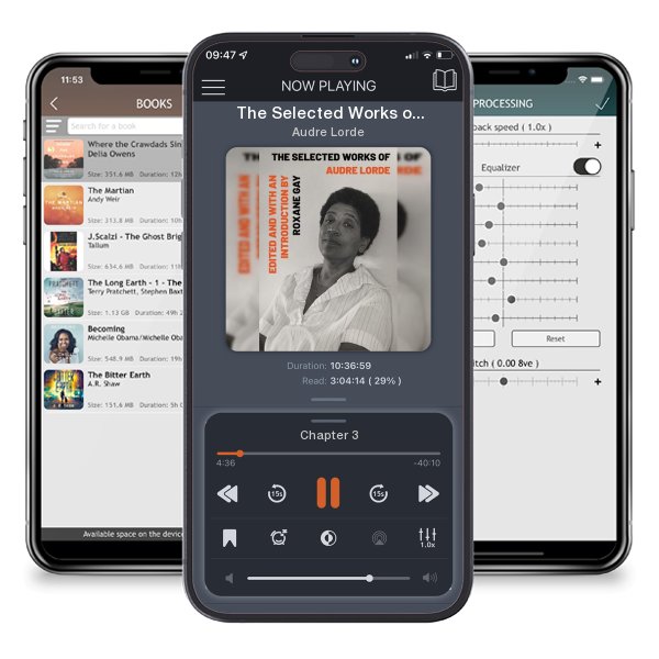 Download fo free audiobook The Selected Works of Audre Lorde by Audre Lorde and listen anywhere on your iOS devices in the ListenBook app.