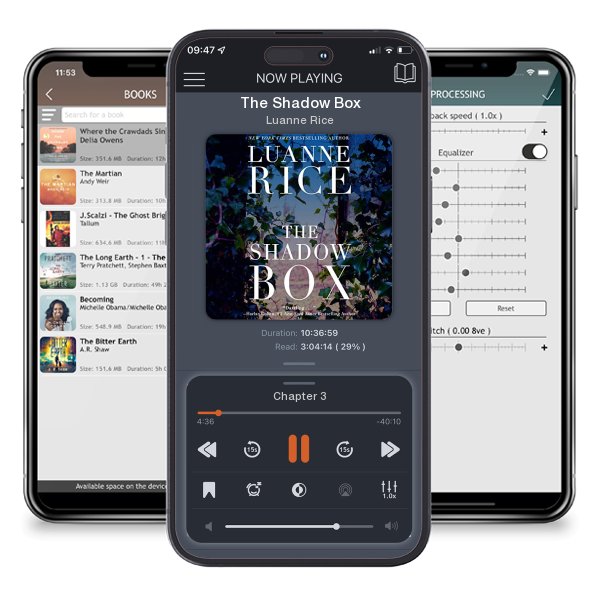 Download fo free audiobook The Shadow Box by Luanne Rice and listen anywhere on your iOS devices in the ListenBook app.
