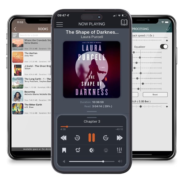 Download fo free audiobook The Shape of Darkness by Laura Purcell and listen anywhere on your iOS devices in the ListenBook app.