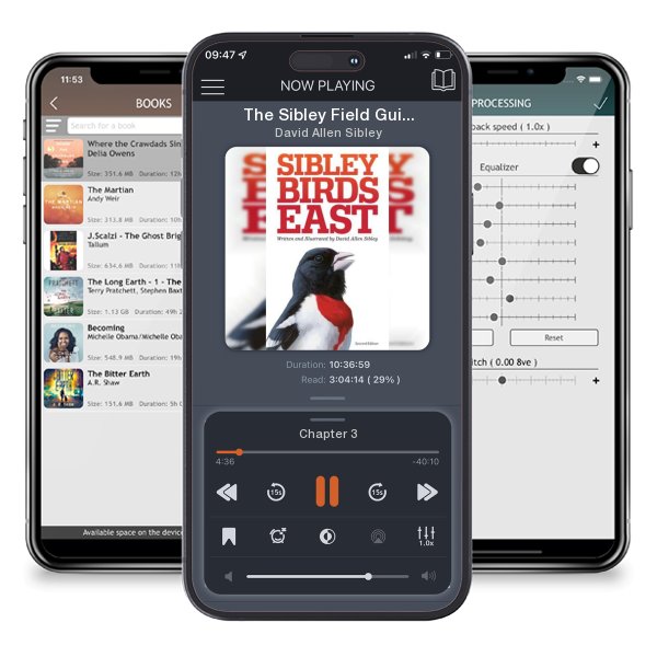 Download fo free audiobook The Sibley Field Guide to Birds of Eastern North America by David Allen Sibley and listen anywhere on your iOS devices in the ListenBook app.