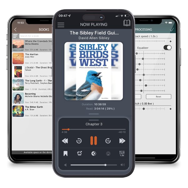 Download fo free audiobook The Sibley Field Guide to Birds of Western North America by David Allen Sibley and listen anywhere on your iOS devices in the ListenBook app.