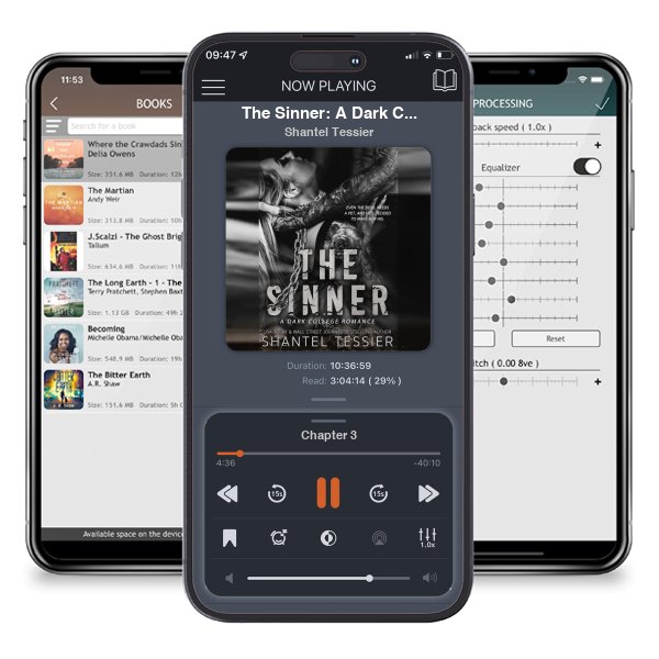 Download fo free audiobook The Sinner: A Dark College Romance by Shantel Tessier and listen anywhere on your iOS devices in the ListenBook app.