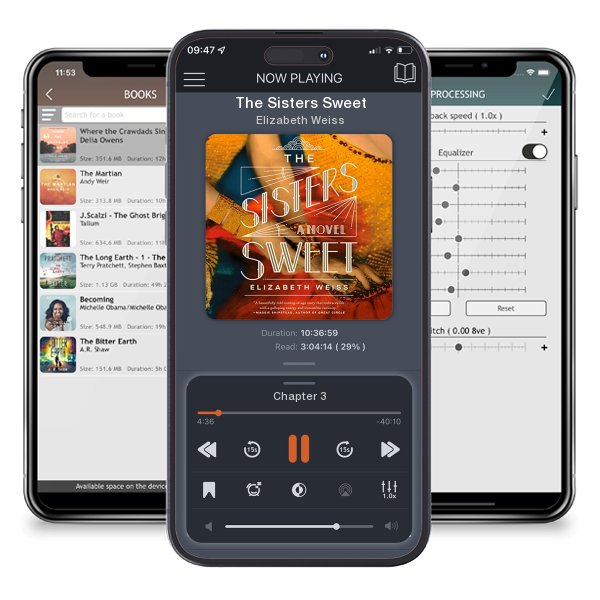 Download fo free audiobook The Sisters Sweet by Elizabeth Weiss and listen anywhere on your iOS devices in the ListenBook app.
