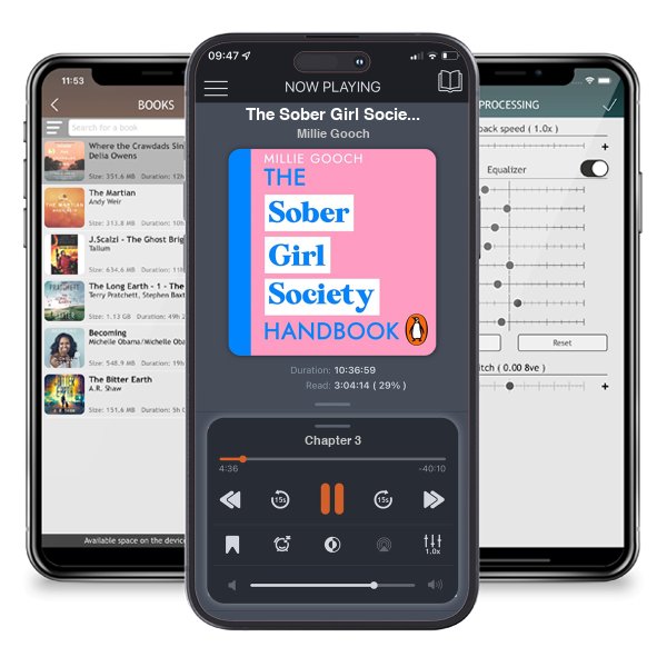 Download fo free audiobook The Sober Girl Society Handbook by Millie Gooch and listen anywhere on your iOS devices in the ListenBook app.