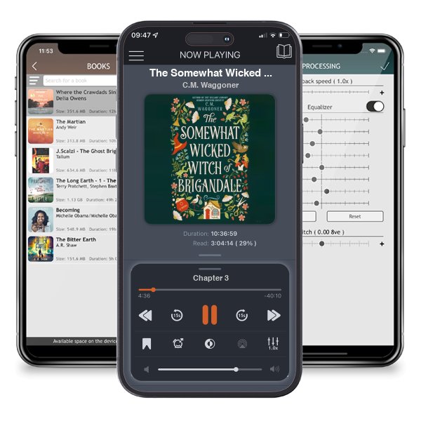 Download fo free audiobook The Somewhat Wicked Witch of Brigandale by C.M. Waggoner and listen anywhere on your iOS devices in the ListenBook app.