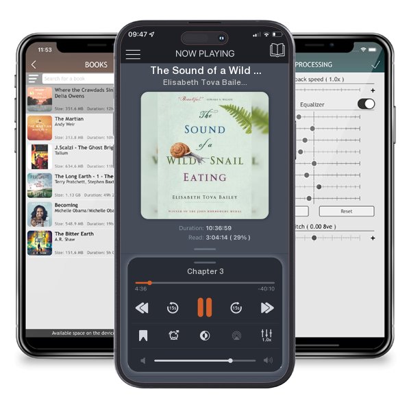 Download fo free audiobook The Sound of a Wild Snail Eating by Elisabeth Tova Bailey and listen anywhere on your iOS devices in the ListenBook app.