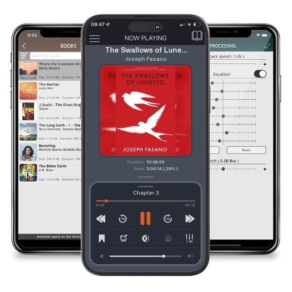 Download fo free audiobook The Swallows of Lunetto by Joseph Fasano and listen anywhere on your iOS devices in the ListenBook app.