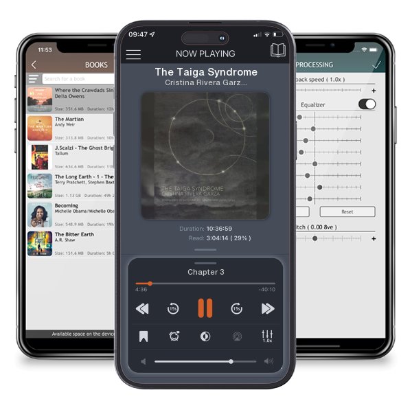 Download fo free audiobook The Taiga Syndrome by Cristina Rivera Garza and listen anywhere on your iOS devices in the ListenBook app.