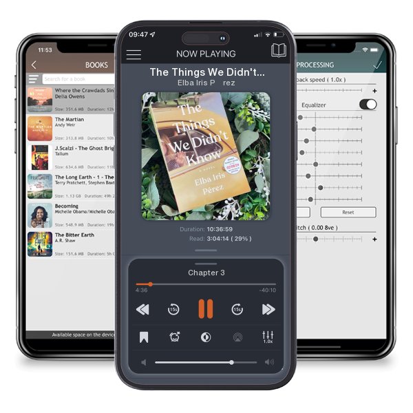 Download fo free audiobook The Things We Didn't Know by Elba Iris Pérez and listen anywhere on your iOS devices in the ListenBook app.