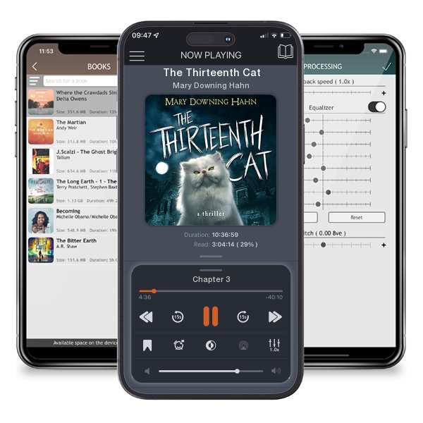 Download fo free audiobook The Thirteenth Cat by Mary Downing Hahn and listen anywhere on your iOS devices in the ListenBook app.