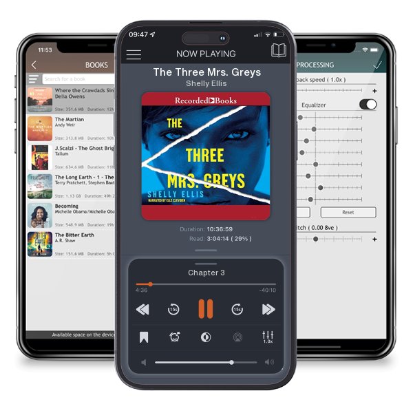 Download fo free audiobook The Three Mrs. Greys by Shelly Ellis and listen anywhere on your iOS devices in the ListenBook app.