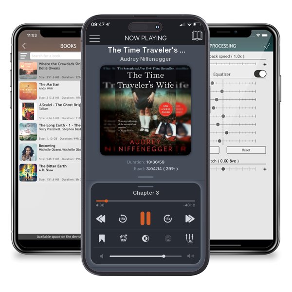 Download fo free audiobook The Time Traveler's Wife by Audrey Niffenegger and listen anywhere on your iOS devices in the ListenBook app.