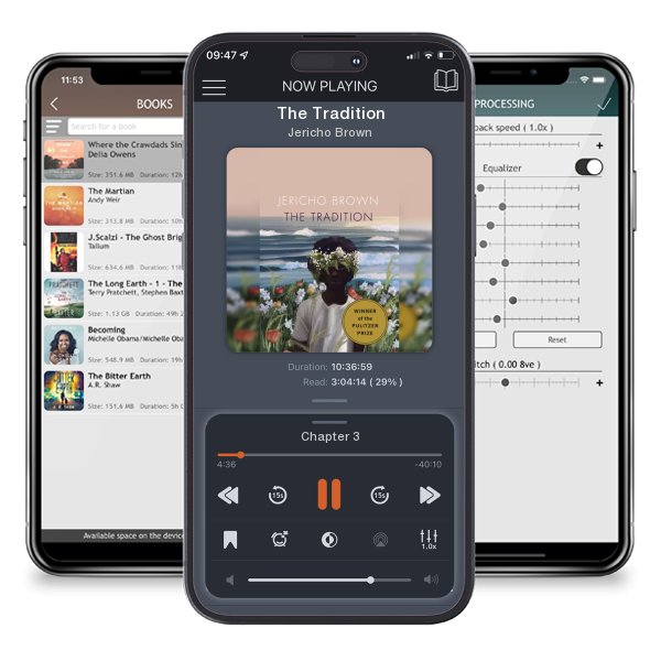 Download fo free audiobook The Tradition by Jericho Brown and listen anywhere on your iOS devices in the ListenBook app.