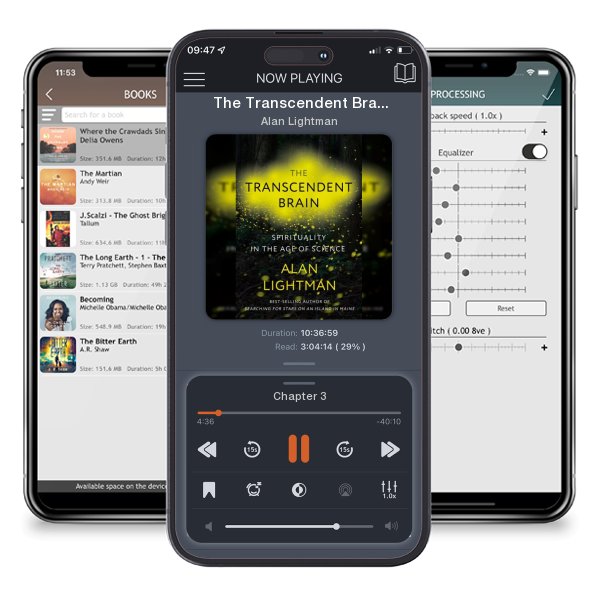 Download fo free audiobook The Transcendent Brain: Spirituality in the Age of Science by Alan Lightman and listen anywhere on your iOS devices in the ListenBook app.