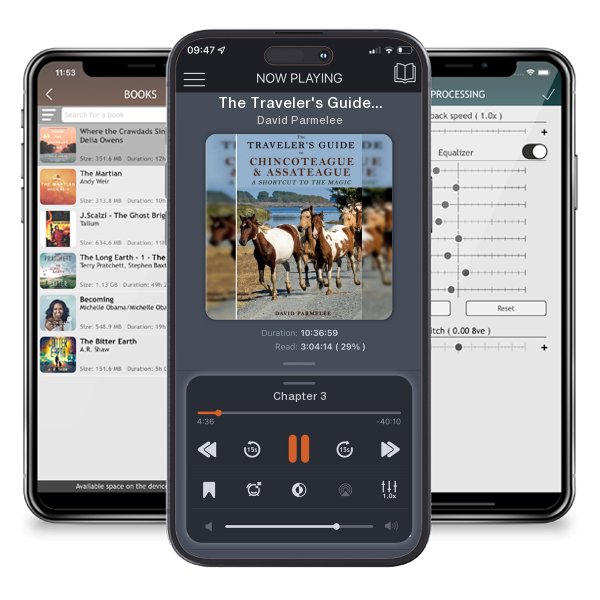 Download fo free audiobook The Traveler's Guide to Chincoteague and Assateague: A... by David Parmelee and listen anywhere on your iOS devices in the ListenBook app.
