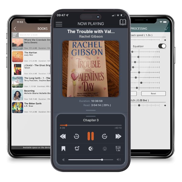 Download fo free audiobook The Trouble with Valentine's Day by Rachel Gibson and listen anywhere on your iOS devices in the ListenBook app.