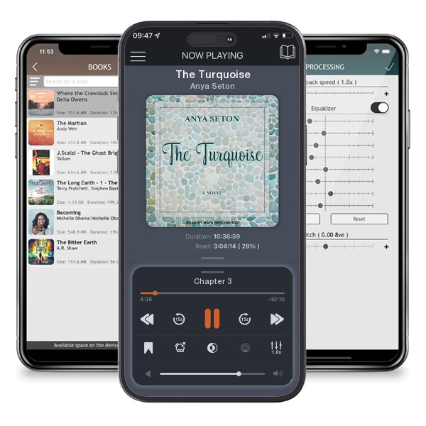 Download fo free audiobook The Turquoise by Anya Seton and listen anywhere on your iOS devices in the ListenBook app.