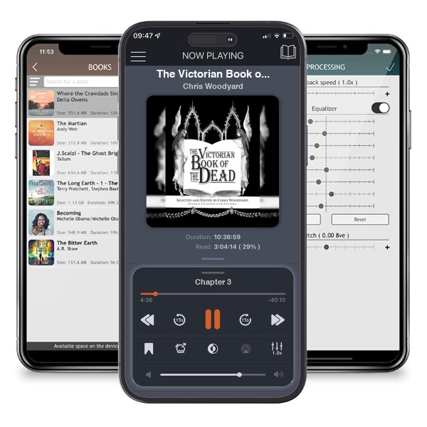 Download fo free audiobook The Victorian Book of the Dead by Chris Woodyard and listen anywhere on your iOS devices in the ListenBook app.