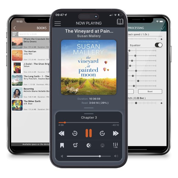 Download fo free audiobook The Vineyard at Painted Moon by Susan Mallery and listen anywhere on your iOS devices in the ListenBook app.