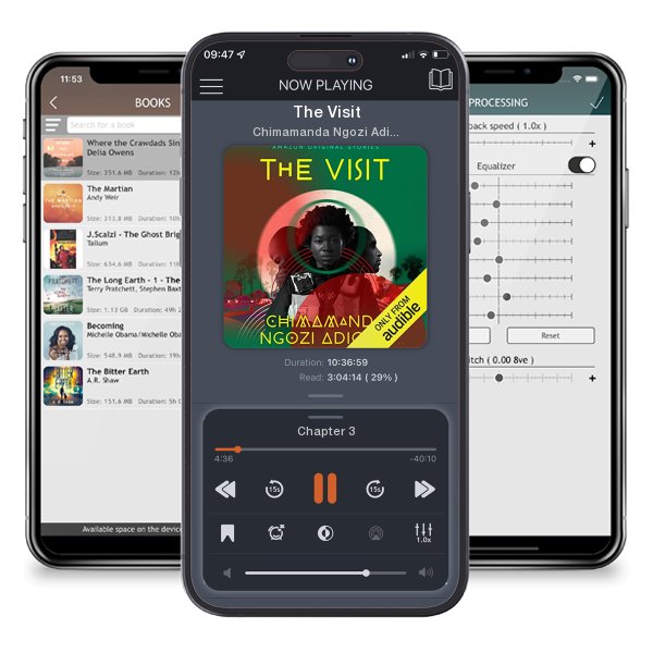 Download fo free audiobook The Visit by Chimamanda Ngozi Adichie and listen anywhere on your iOS devices in the ListenBook app.