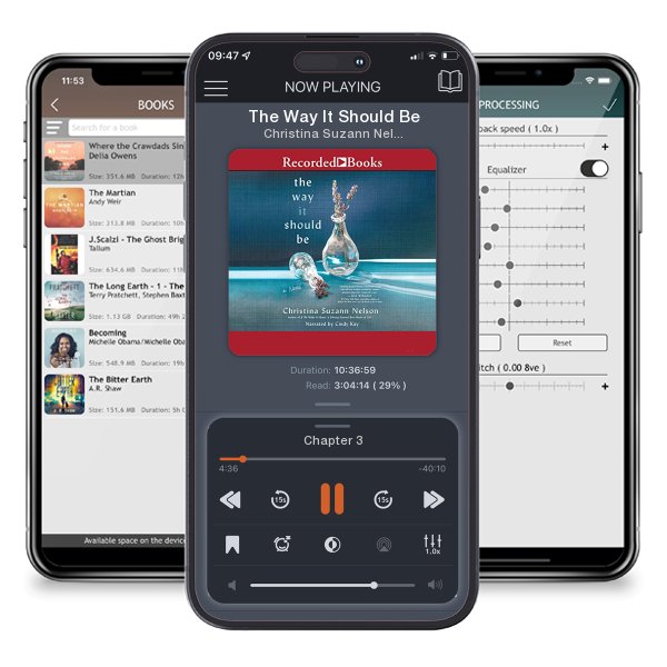 Download fo free audiobook The Way It Should Be by Christina Suzann Nelson and listen anywhere on your iOS devices in the ListenBook app.
